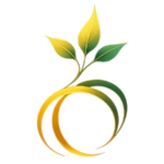 Seedance AI