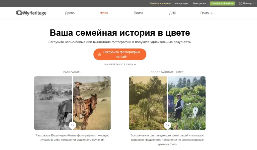 Сервис для колоризации - MyHeritage In Color