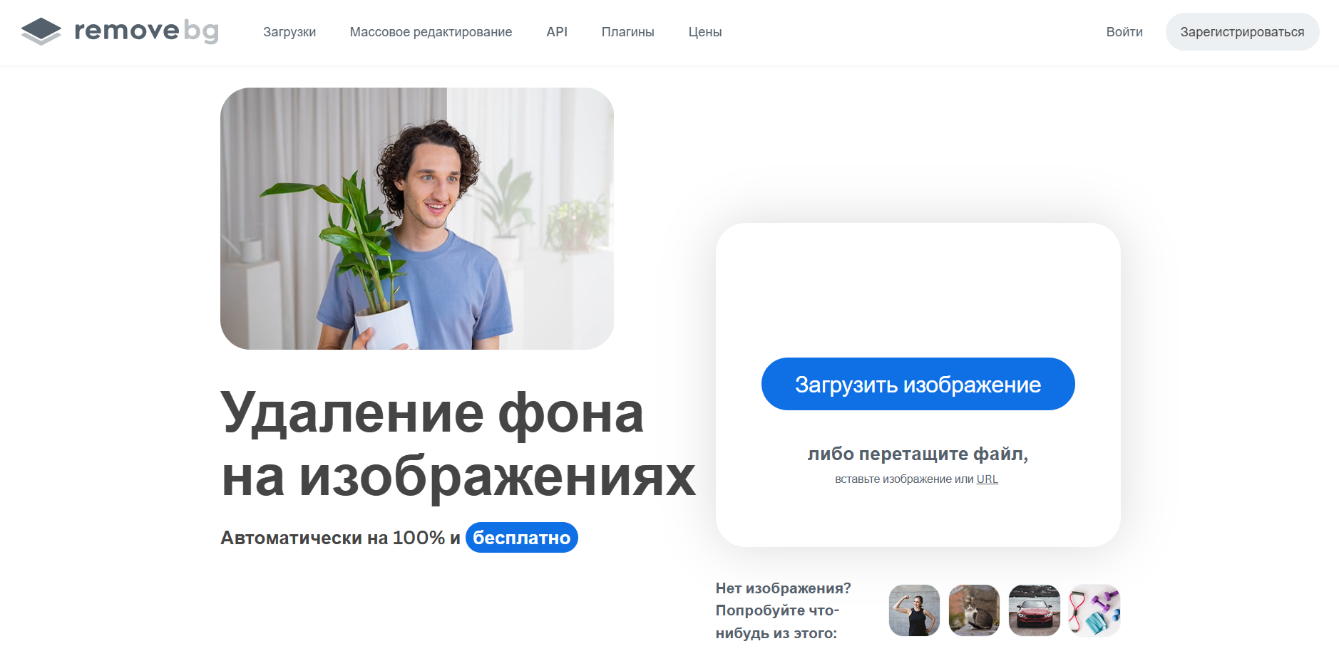 Мужчина с каштановыми вьющимися волосами в светло-голубой футболке держит в руках горшок с зелёным растением на фоне белой занавески.