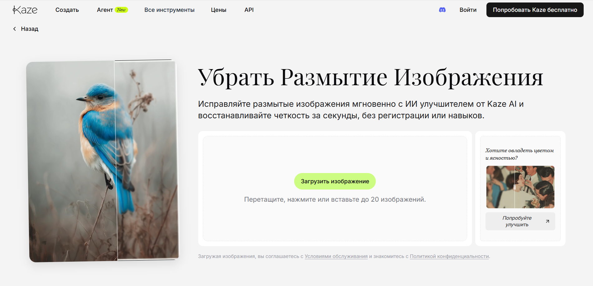 Скриншот веб-страницы инструмента Kaze AI для улучшения резкости изображений, показывающий процесс устранения размытия с изображением синей птицы.