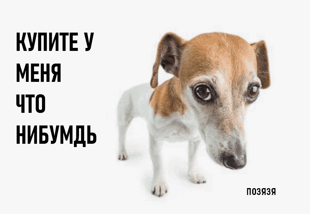 Собака с большими глазами и текстом «Купите у меня что нибумдь» на белом фоне.
