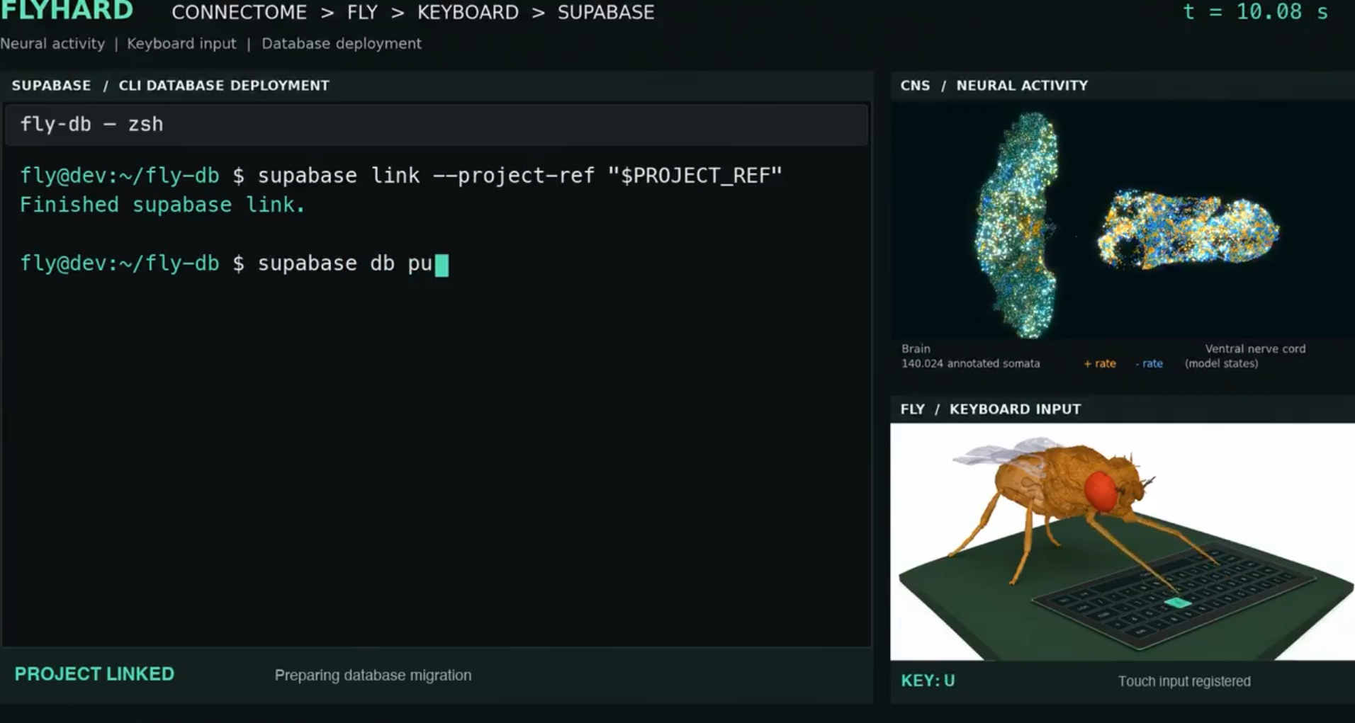 Интерфейс системы FlyHard с терминалом, показывающий команды для подключения и развертывания базы данных Supabase, а также изображения нейронной активности и мухи, взаимодействующей с клавиатурой.
