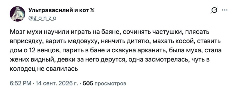 Скриншот твита на русском языке с забавным текстом о мухе, которая научилась разным умениям.