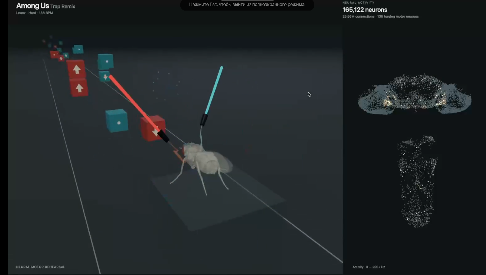 Визуализация нейронной активности дрозофилы с использованием VR-контроллеров для имитации движений.