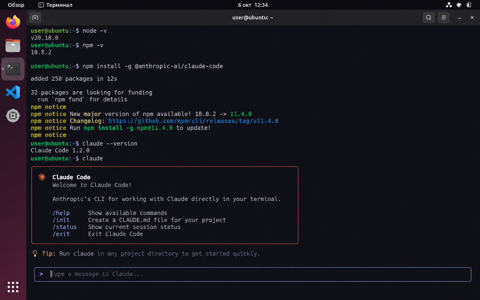 Скриншот терминала Ubuntu с установленным и запущенным Claude Code через npm.